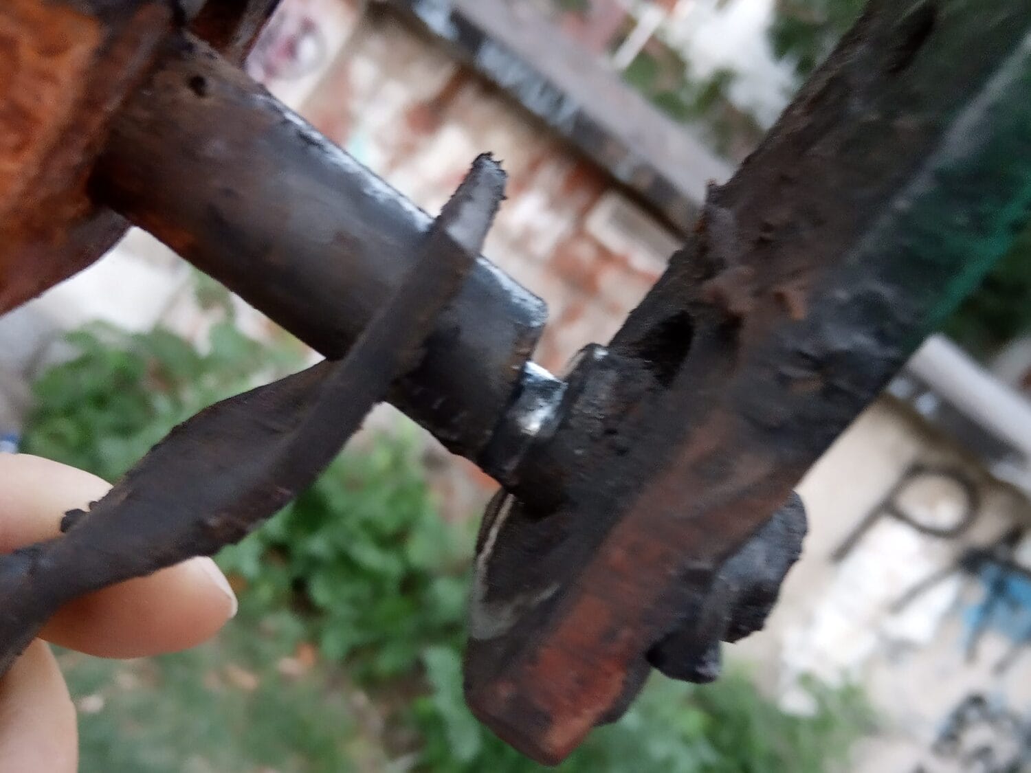 IMG 20190904 185811 Cropped scaled