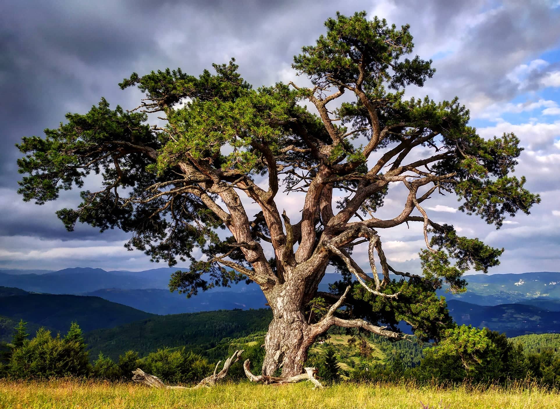 67620747_480052062822482_2982210769610866688_n