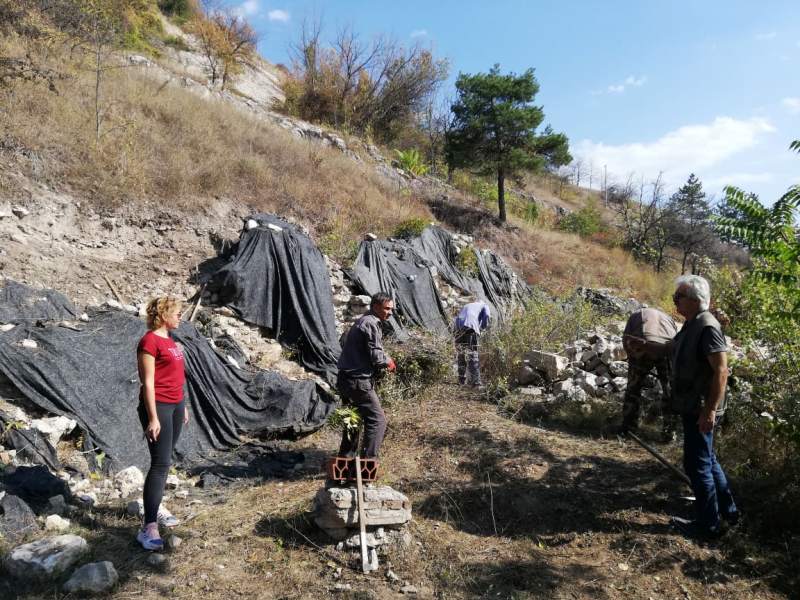 Tures foto Muzej Ponisavlje