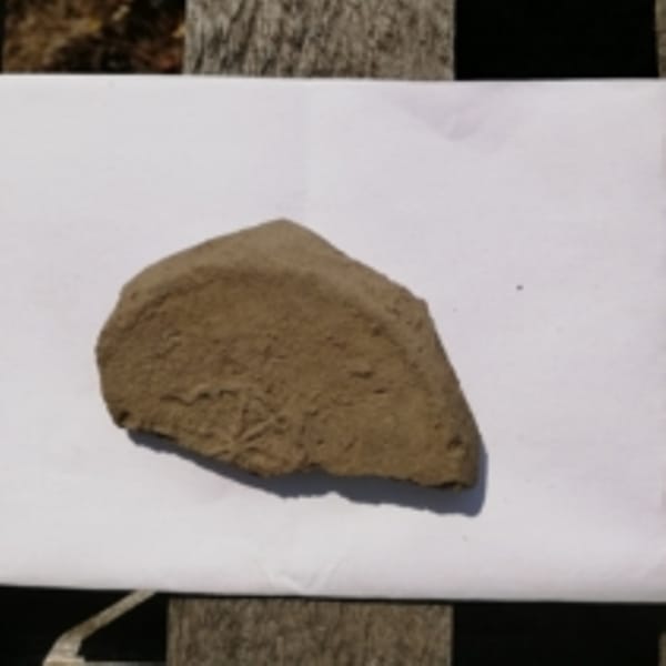 keramika foto Muzej Pirot