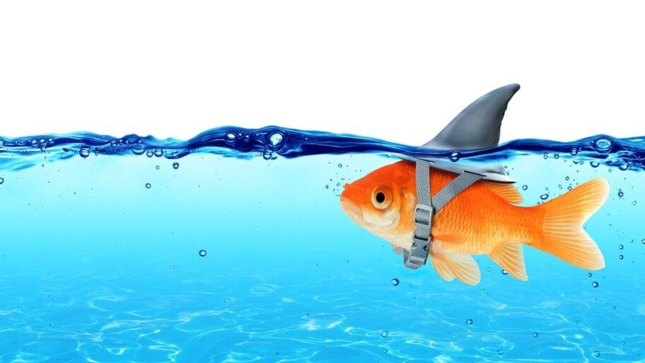 108642934 0a gettyimages 504085304