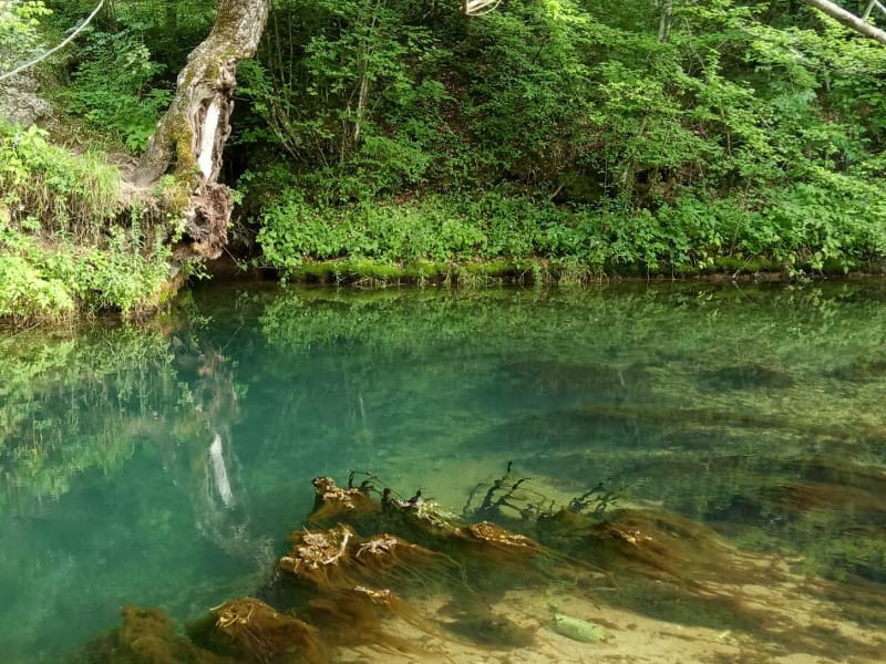 vrelo dojkinci foto Lj F