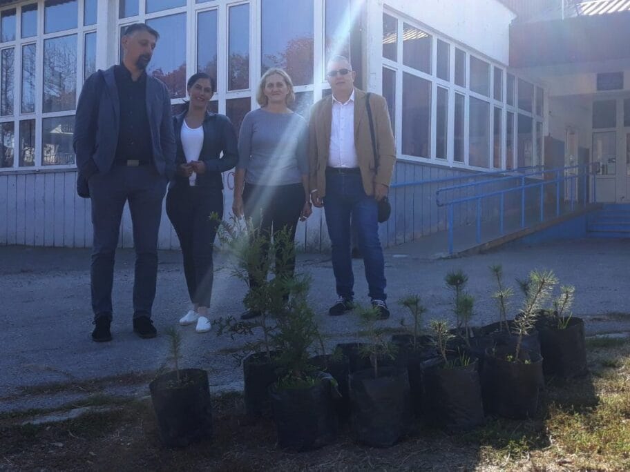 Sadnice cetinara foto Rotarakt klub Leskovac