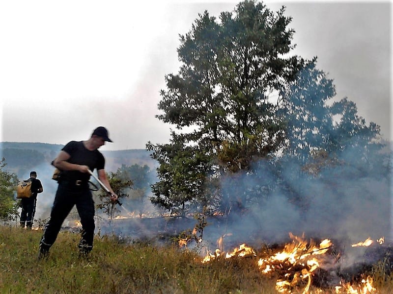 pozar vatrogasci KOSTA