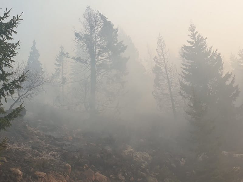 vatra jele SP foto M S