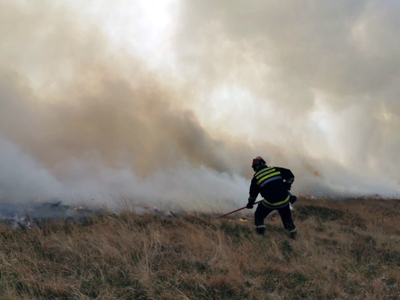 pozar stara planina foto mup
