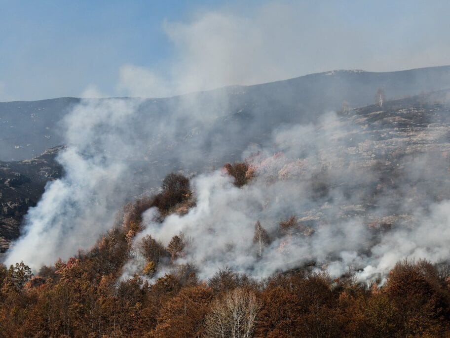 Pozar Stara planina oktobar 2019 foto Vanja Keser