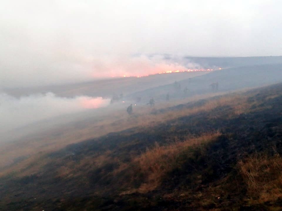 Trgoviste pozar5; foto: JV-M. Dejanovic