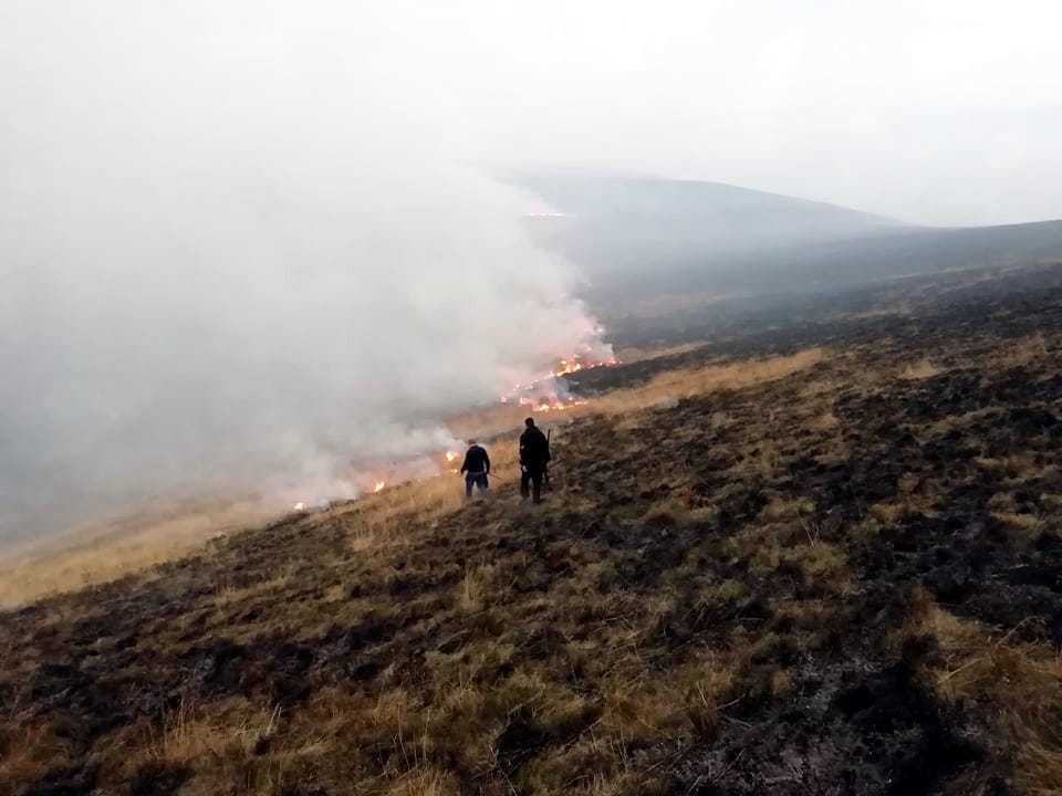 Trgoviste pozar4; foto: JV-M. Dejanovic