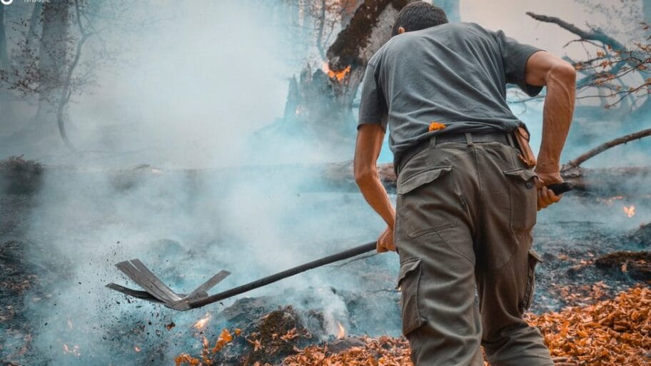 109486251 5114eb24 0291 4f59 9c2e 44ddf26fe3af