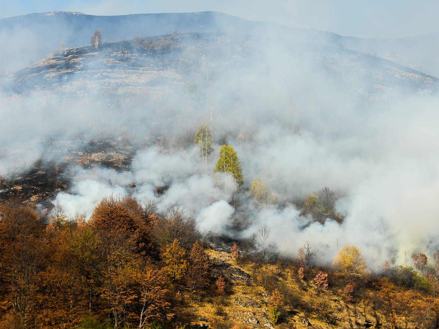 pozar stara planina 2019 foto vkeser
