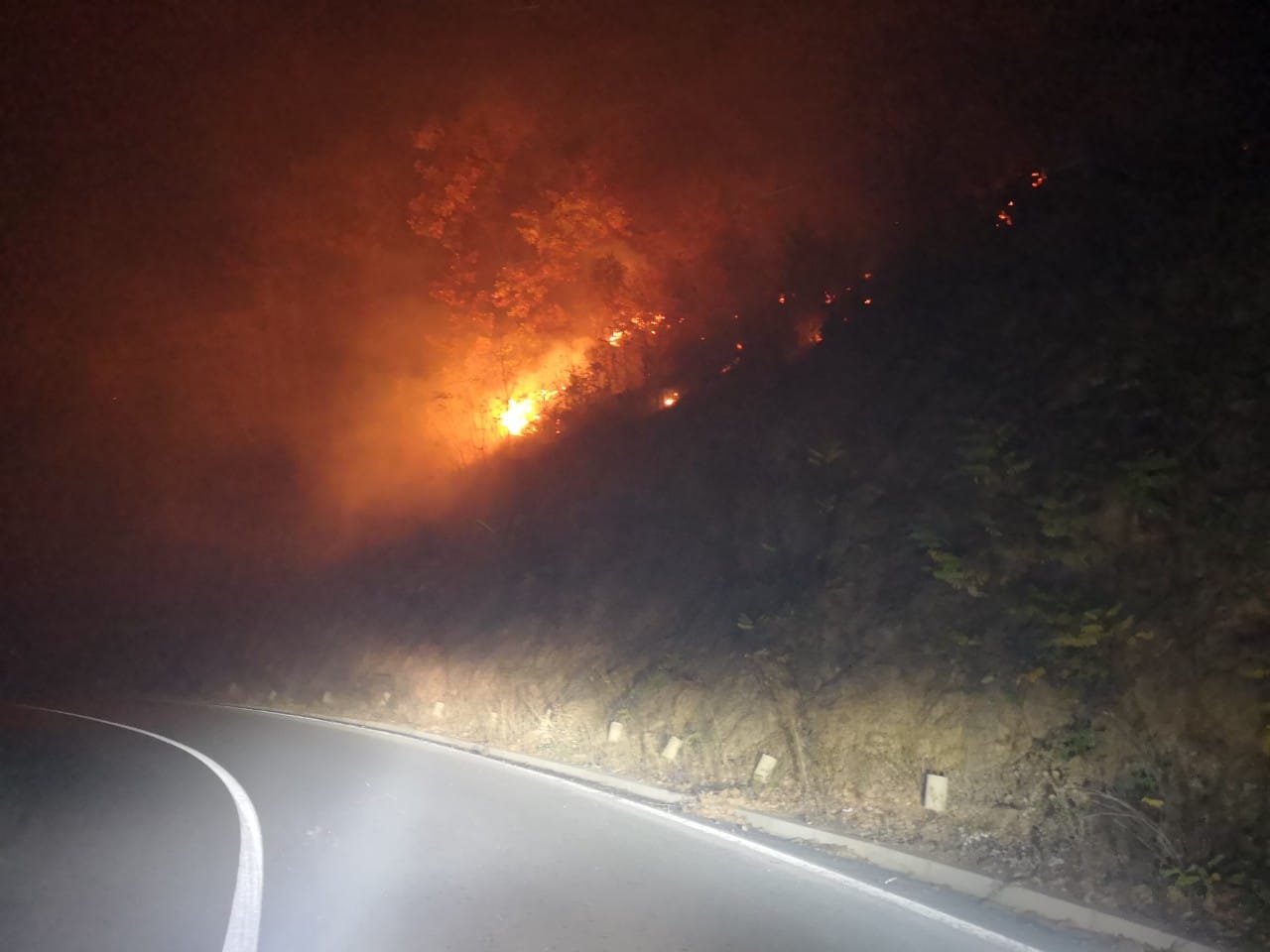 Pozar regionalni put Nis Babusnica 1 foto D S