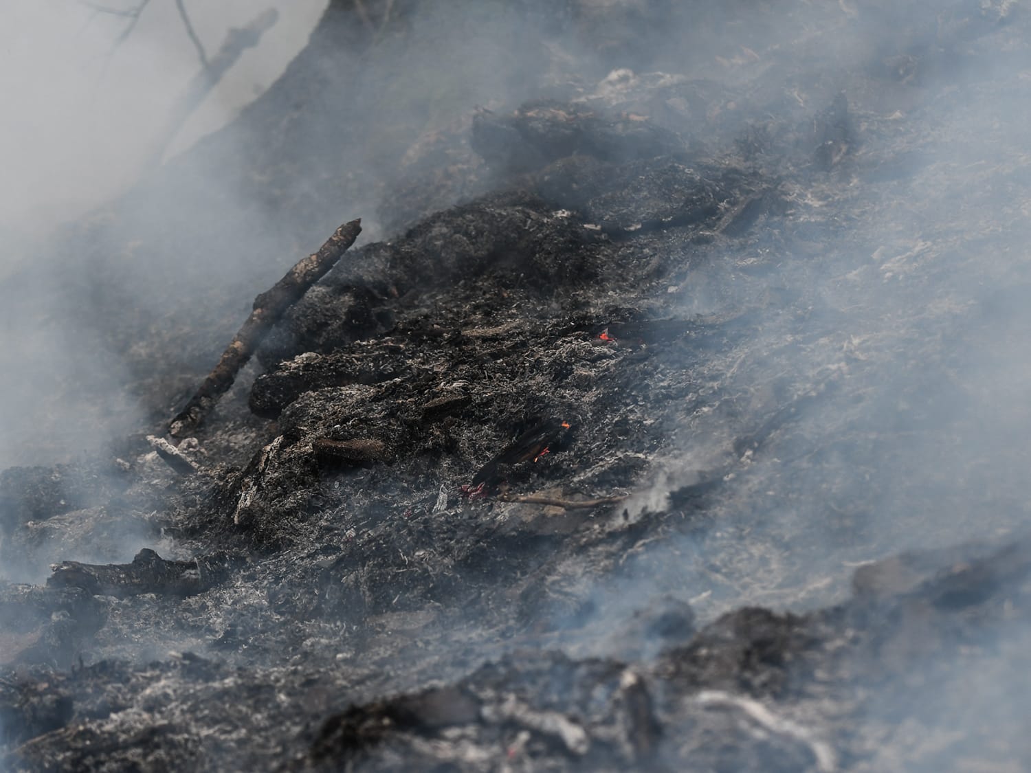 pozar foto vanja keser