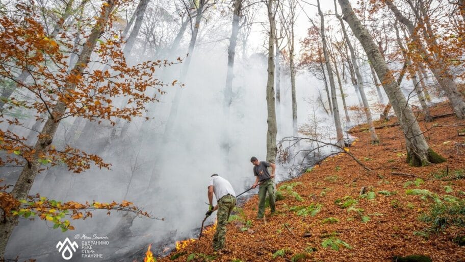 109516389 72777680 1284625058406590 4775845432326619136 o