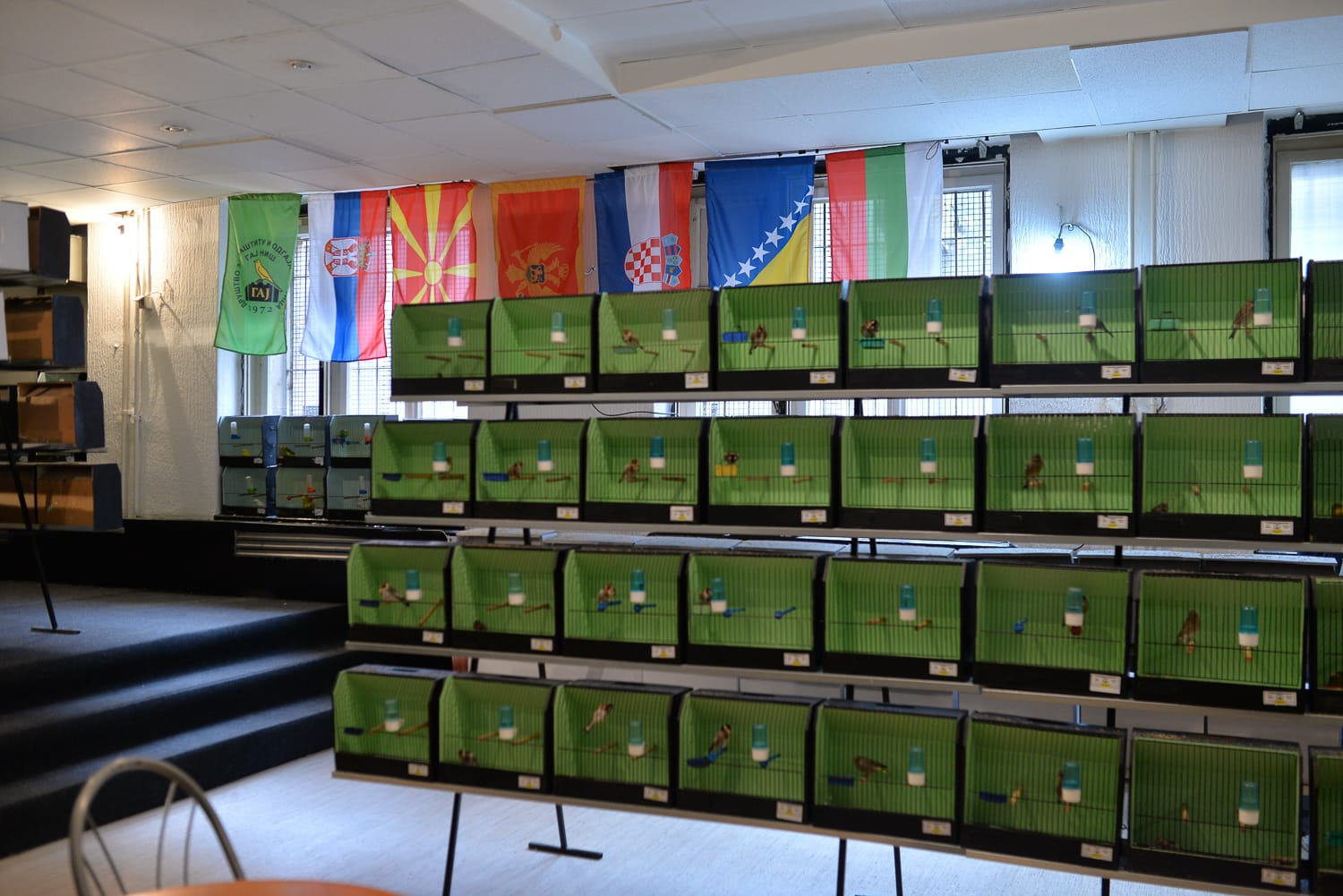 pticurine foto vanja keser