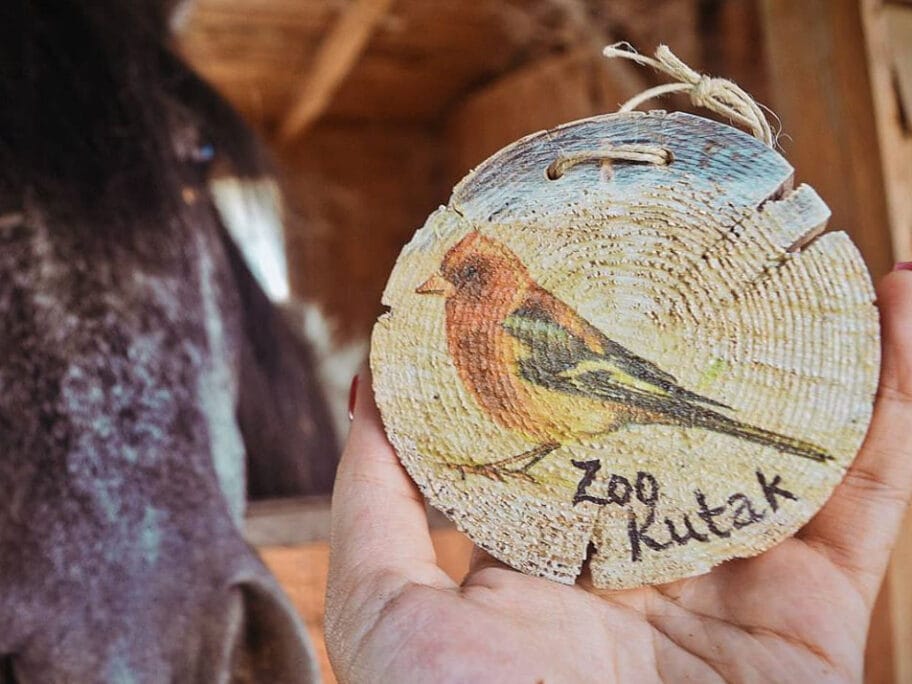 Dekupaz konj foto Zoo planet