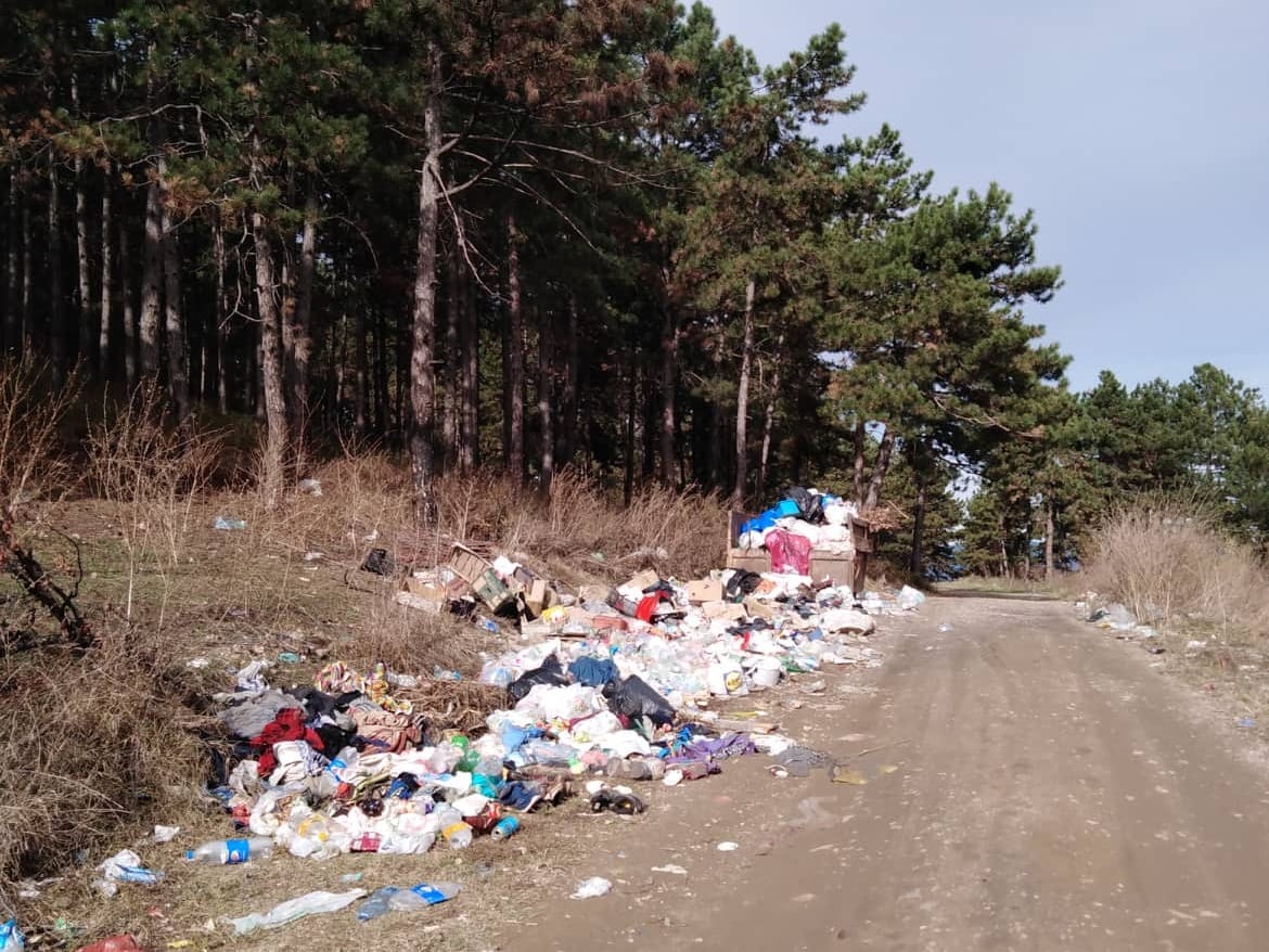 Smece 3 Hisar Leskovac foto M A