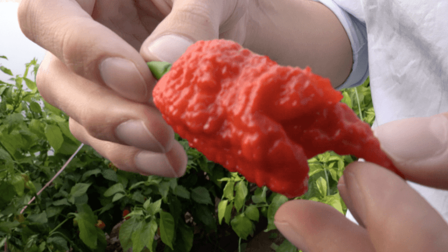 109671676 screenshot2019 11 14at17 26 57