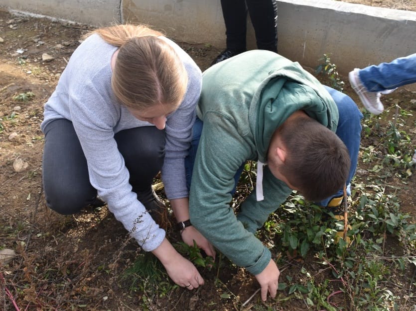 Sadnja drveca 2 foto Grad Leskovac