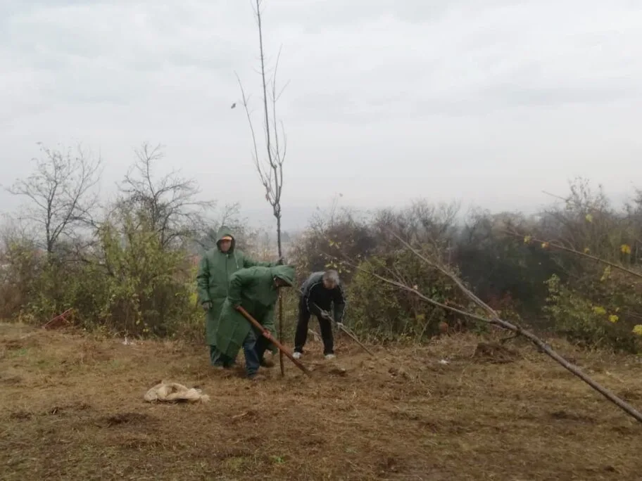 U blizini Sijarinske Banje biće posađeno 9.000 sadnica smrče na Svetski dan čistog vazduha 4 Posumljavanje Spomen park 2 foto M S