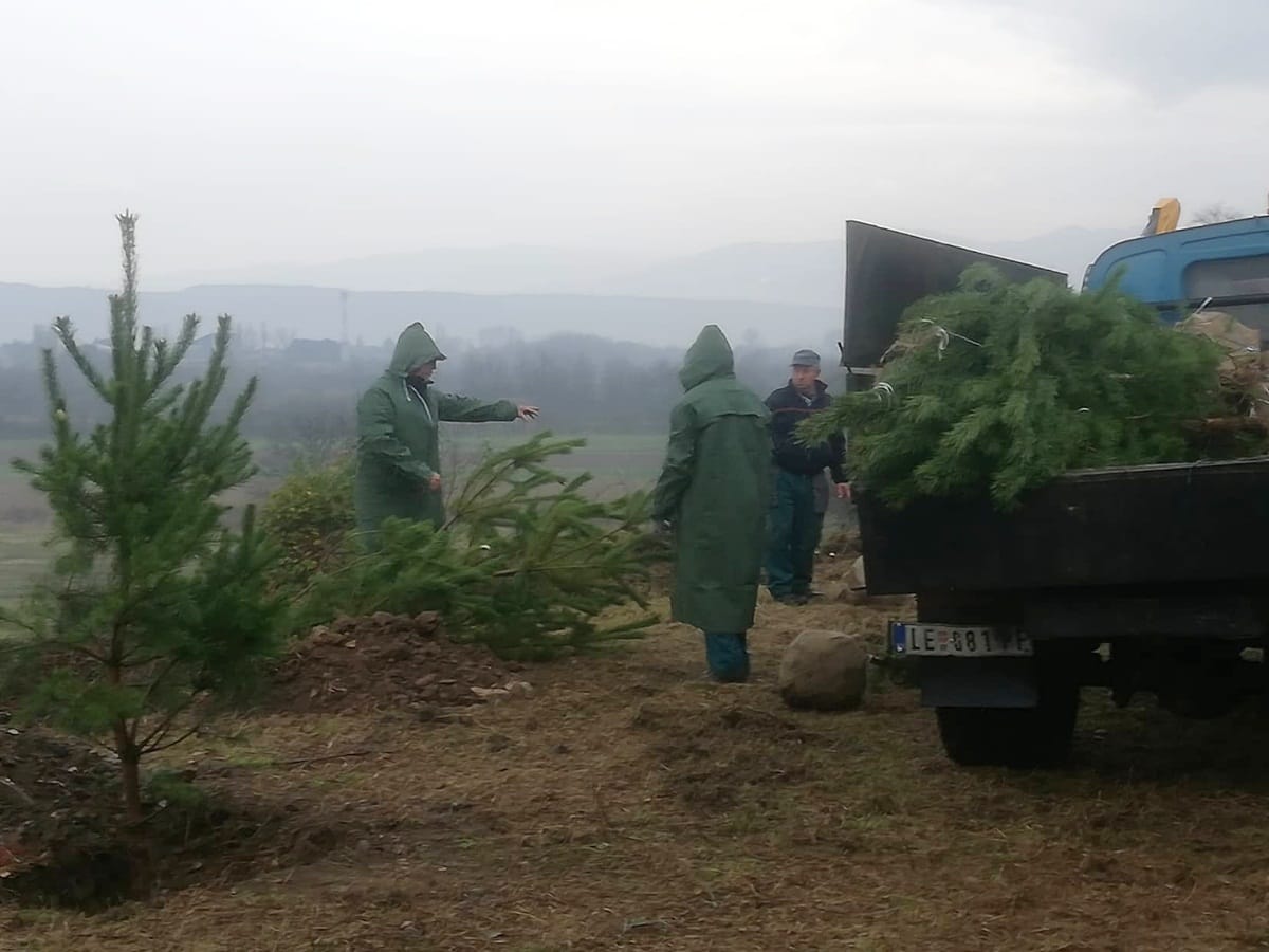 spomen park leskovac pošumljavanje