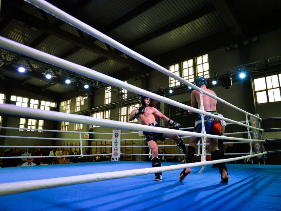 Kik boks ilustracija foto Juzne vesti Vanja Keser