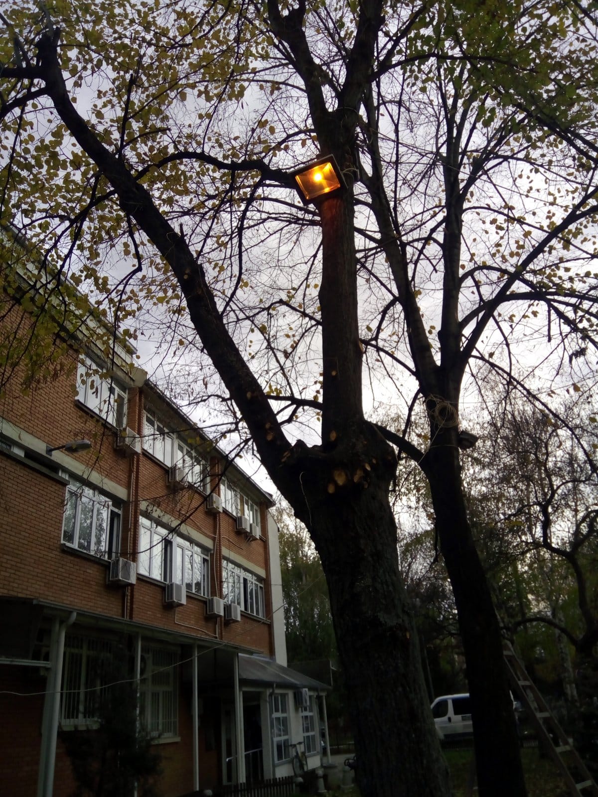 Svetla ispred Opstine Medijana 1 foto Opstina Medijana