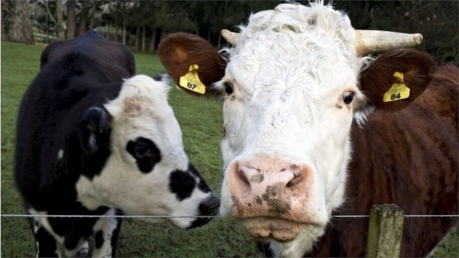 109911500 mediaitem105602106