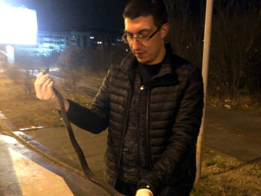 Zmija Soborski bulevar 2 foto Zoo planet