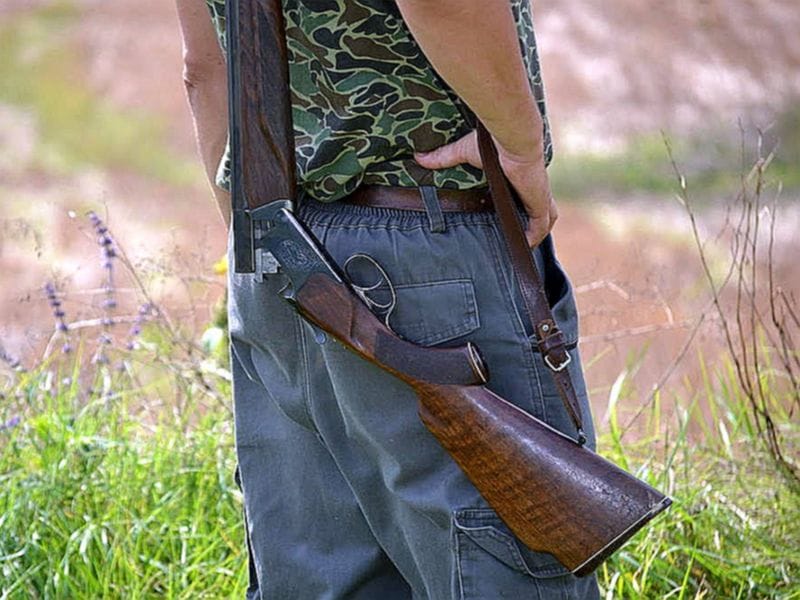 Lov puska foto ALEKSANDAR KOSTIC