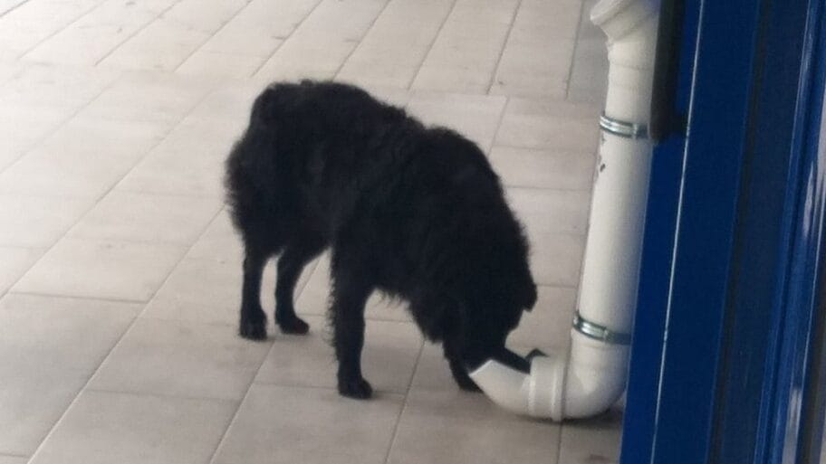 109971021 hranilica3