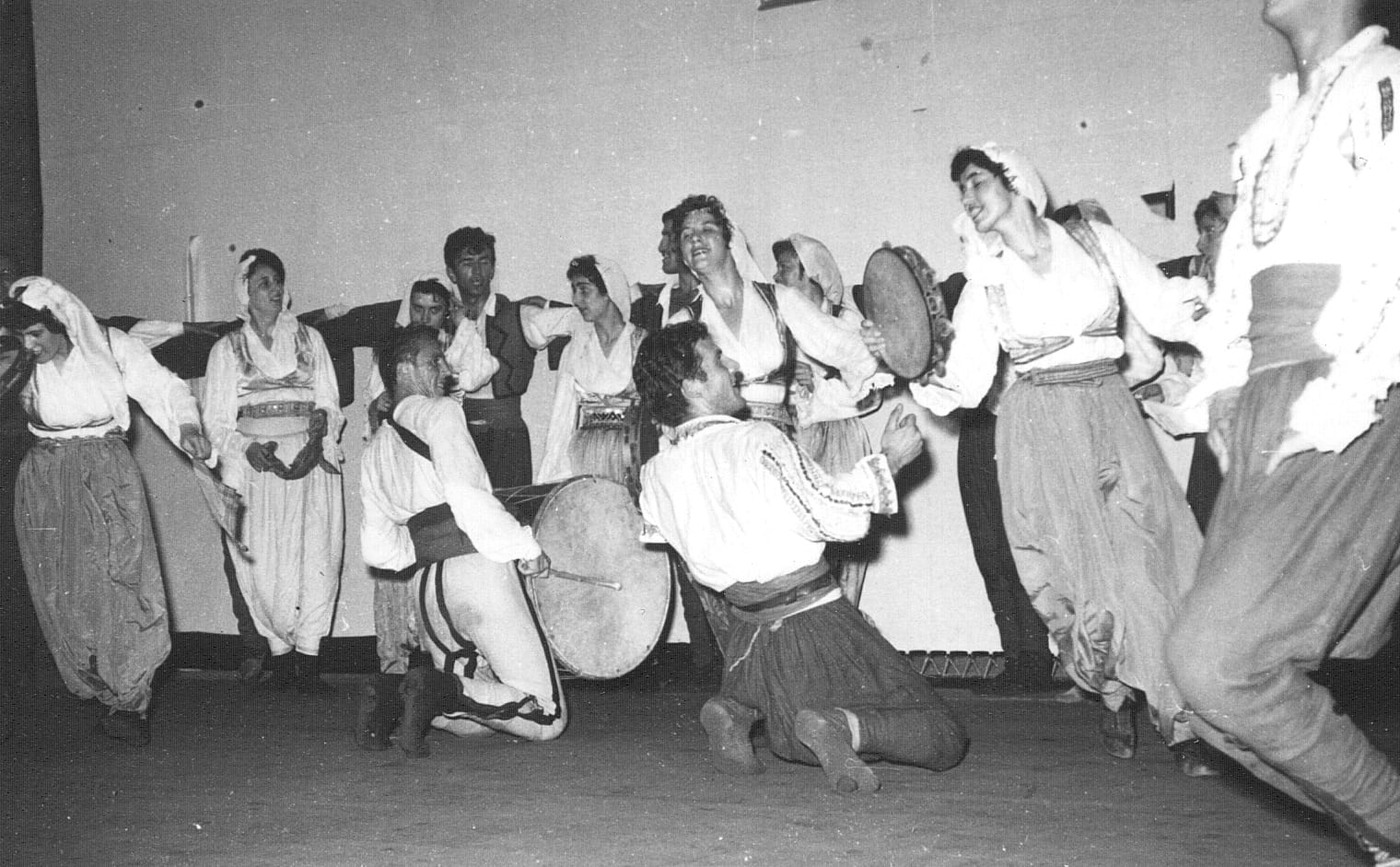 afa oro, slika 1, foto skc