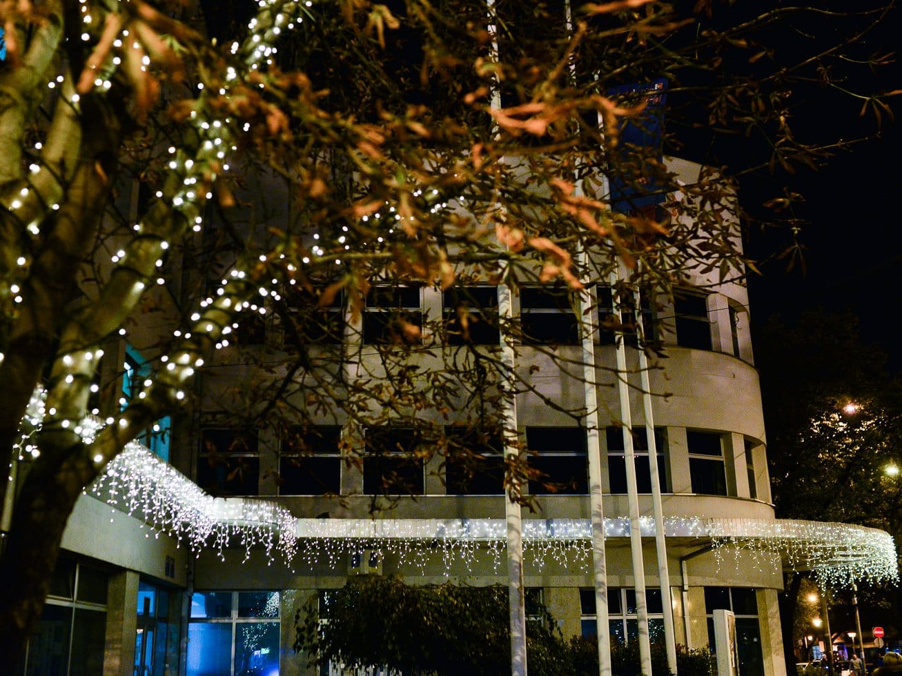 Novogodisnja dekoracija 2019 foto Vanja Keser