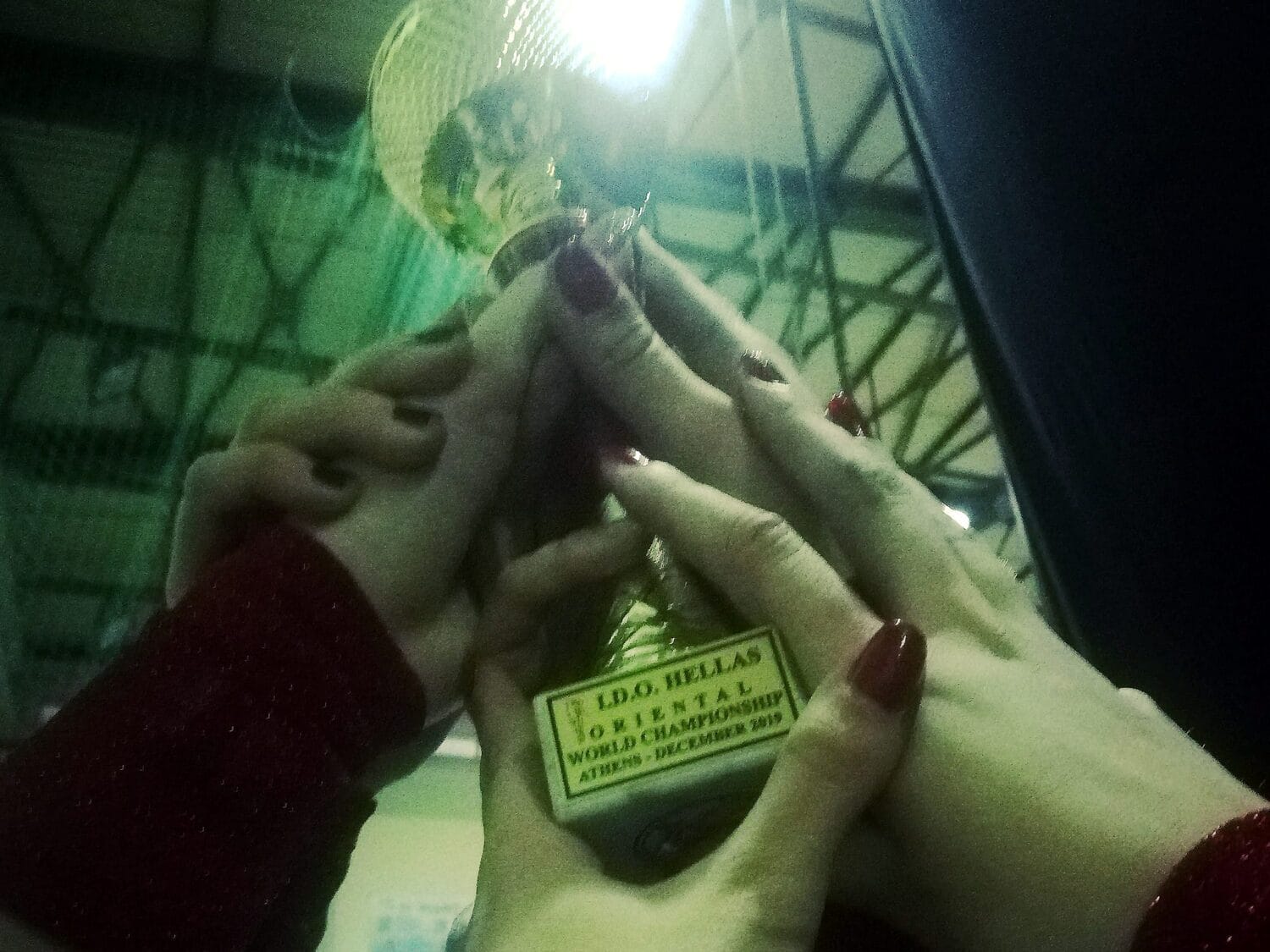 Niške plesačice osvojile drugo mesto na Svetskom prvenstvu 1 Swing oriental ladies Svetsko prvenstvo pehar foto Swing oriental ladiees scaled