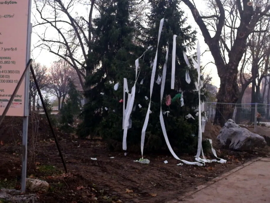 Jelka ukrasnea Gradska kuca foto Niska urbana gerila