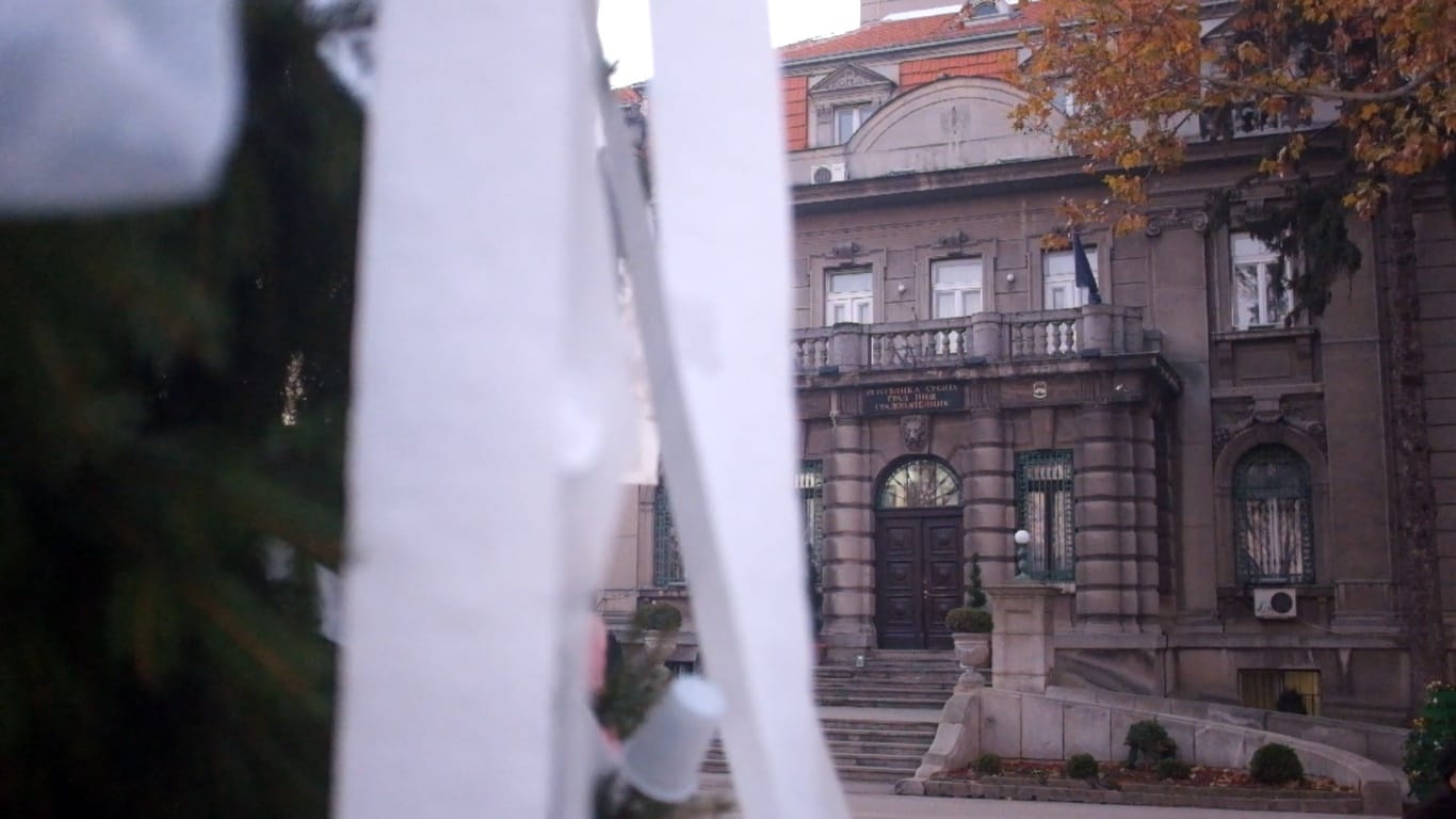 Jelka đubre Gradska kuća foto Niška urbana gerila