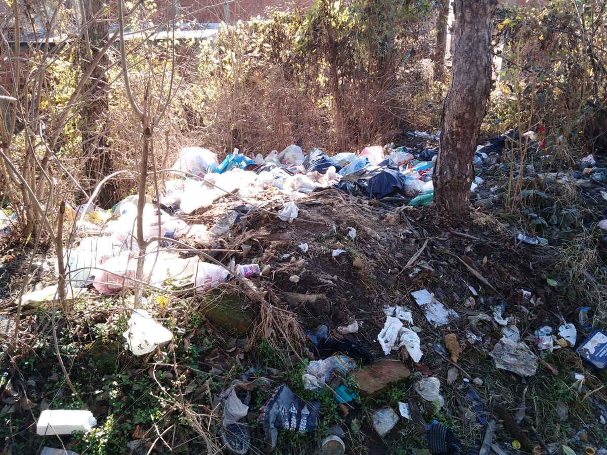 Smece 3 Hisar decembar 2019 foto M A