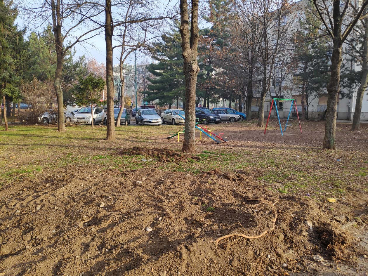 80749854_3331042053637268_7261775213375782912_n