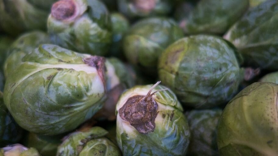 110282251 gettyimages 474887645