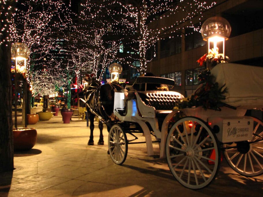 kocije foto flickr MikeOrmsby