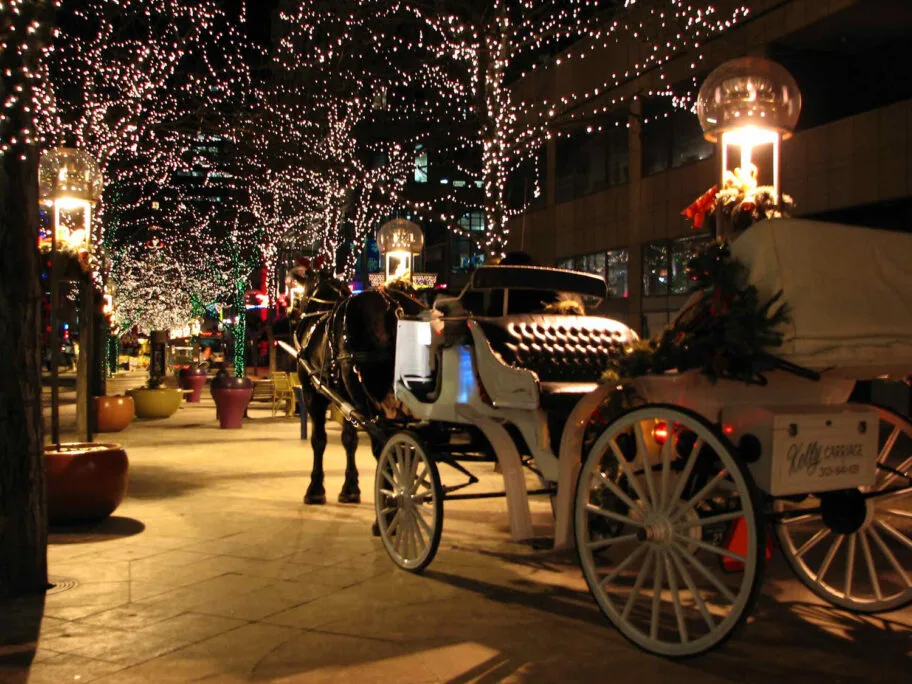 Humanitarna akcija i vožnja fijakerom u niškoj Tvrđavi, povod Dan žena 17 kocije foto flickr MikeOrmsby
