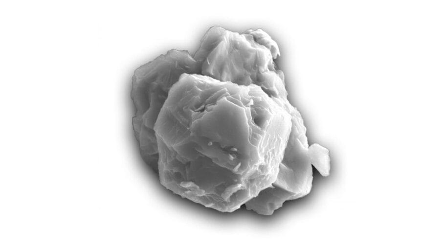 110498412 mediaitem110498411