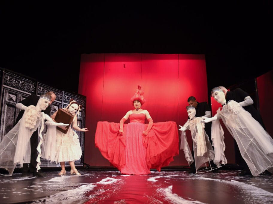 divlji labudovi foto pozoriste lutaka nis