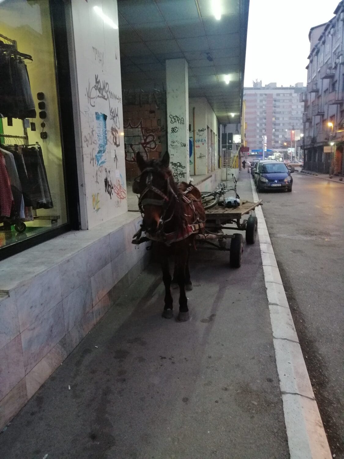 82284932 117115576228953 1150926865960009728 n scaled