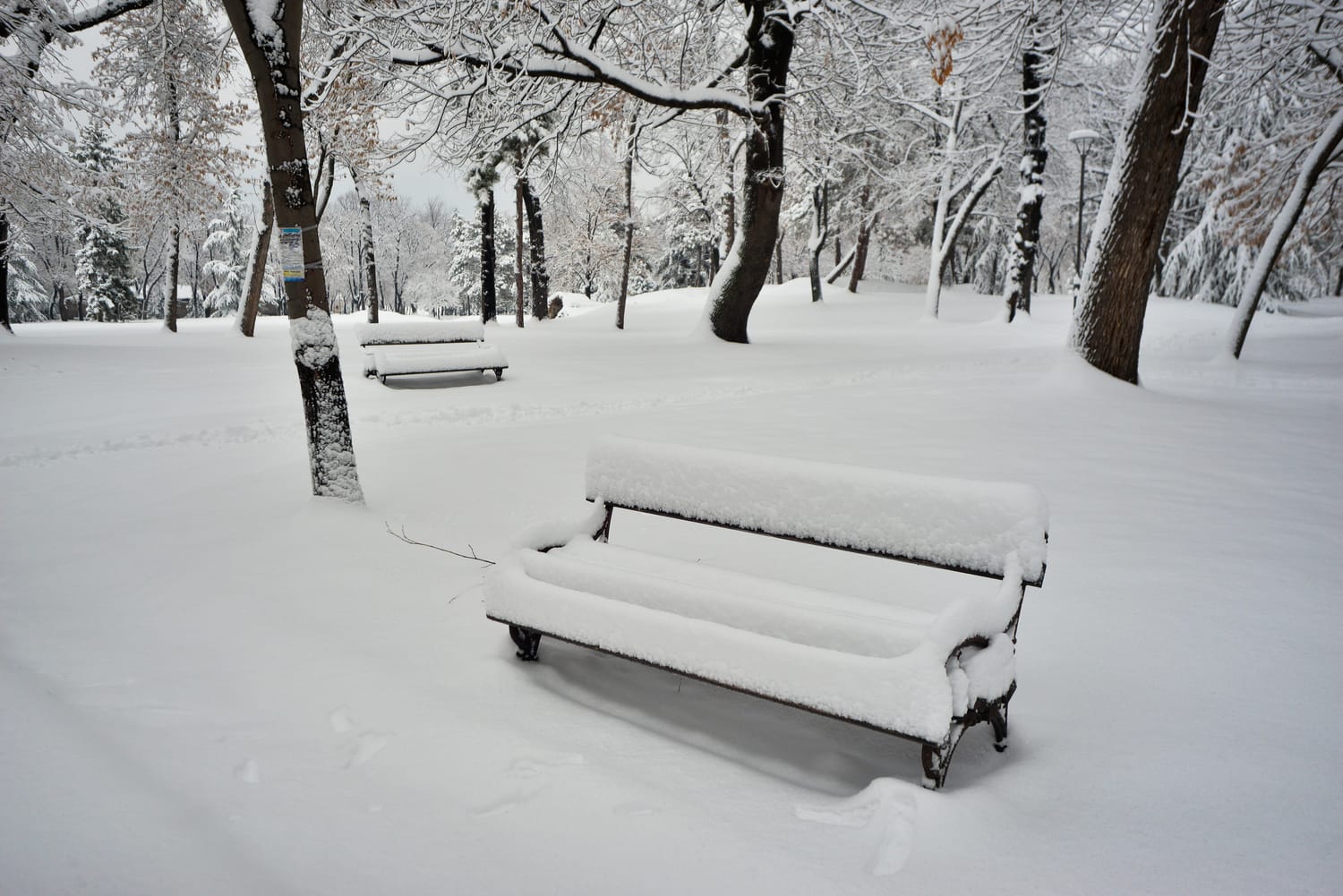 Sneg Niš decembar 2018 foto Južne vesti Vanja Keser2