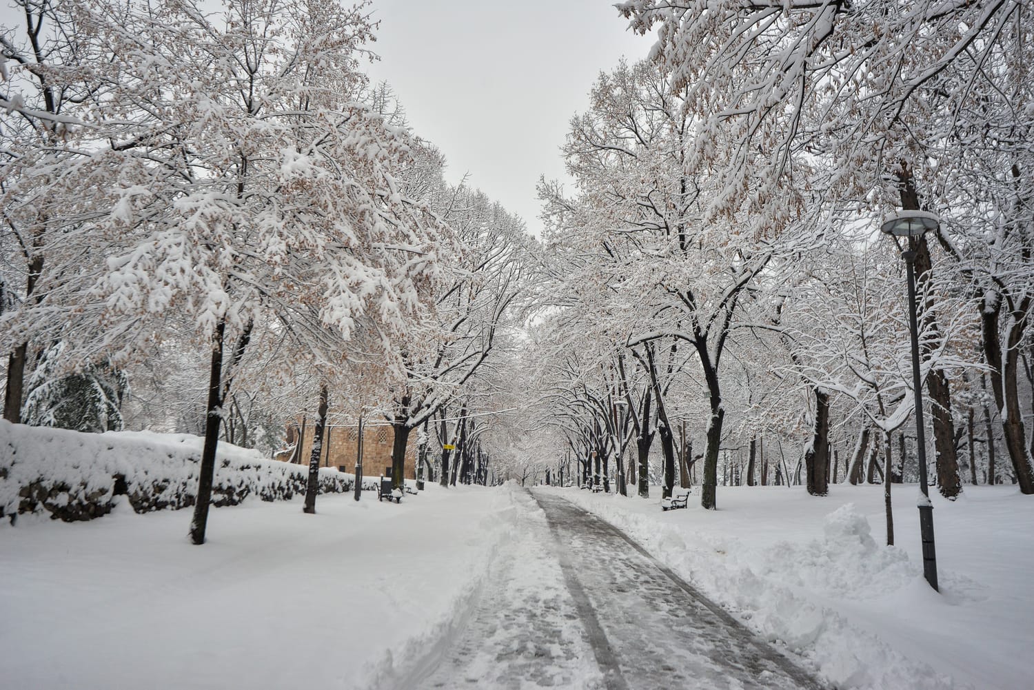 Sneg Nis decembar 2018 foto Juzne vesti Vanja Keser3