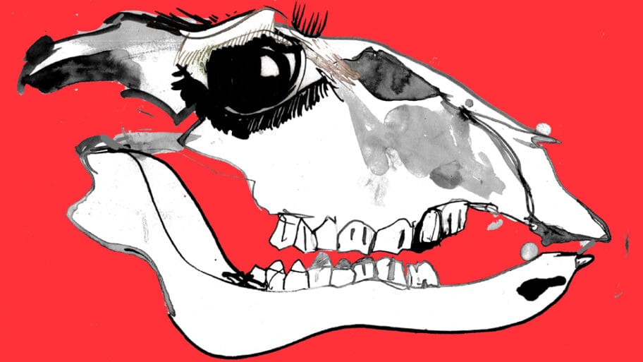 110385986 976xpromo option 1