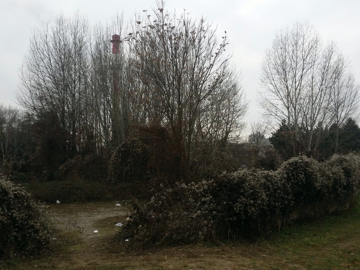 Ocisceno dvoriste Toplane; foto: Eko gerila Nis