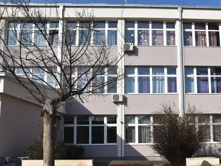 U leskovačkoj školi vršnjaci pretukli učenika, incident prijavljen policiji 2 Osnovna skola Vasa Pelagic Leskovac foto EU PRO