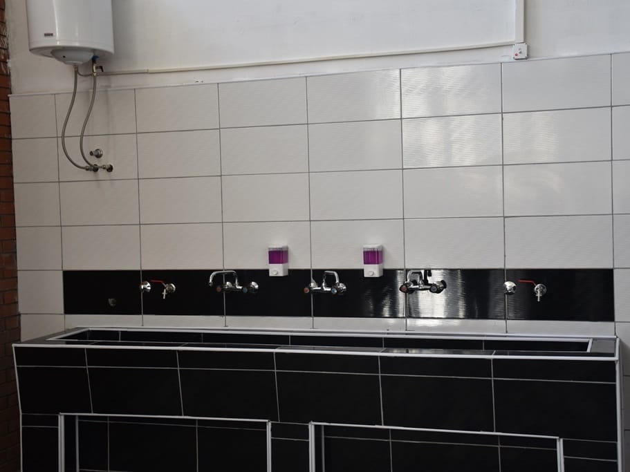 Osnovna skola Vasa Pelagic Leskovac toalet foto Grad Leskovac